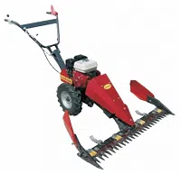 Motocositoasa profesioanala model 200