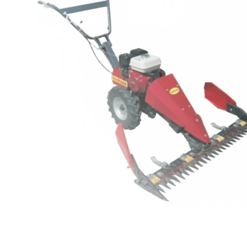 Echipamente gradina - Fermierulafacerist.ro